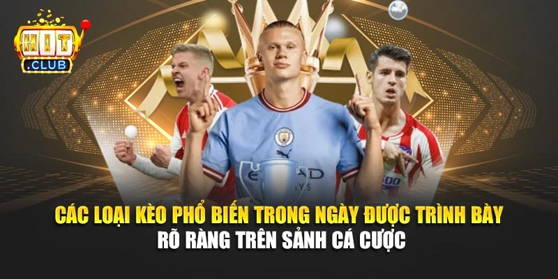 Các loại kèo phổ biến trong ngày được trình bày rõ ràng trên sảnh cá cược