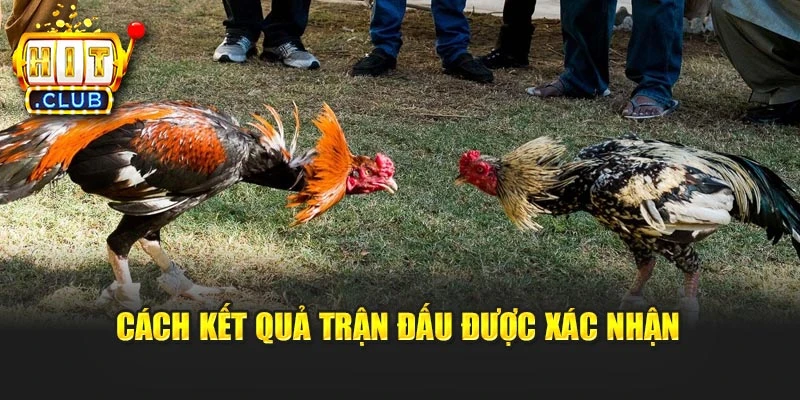 Cách kết quả trận đấu được xác nhận