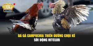 Đá Gà Campuchia – Thiên Đường Chọi Kê Sôi Động Hitclub