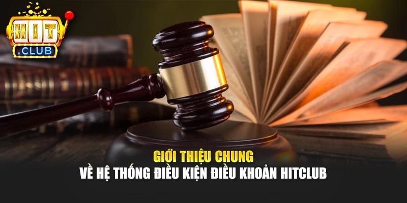Giới thiệu chung về hệ thống điều kiện điều khoản Hitclub